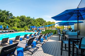 Olympic size swimming pool with sundeck